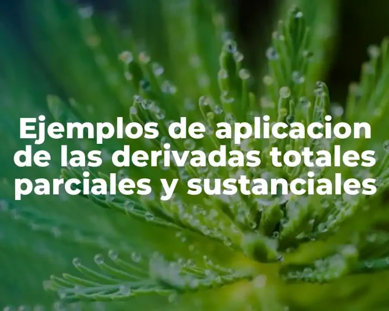 Ejemplos de aplicacion de las derivadas totales parciales y sustanciales