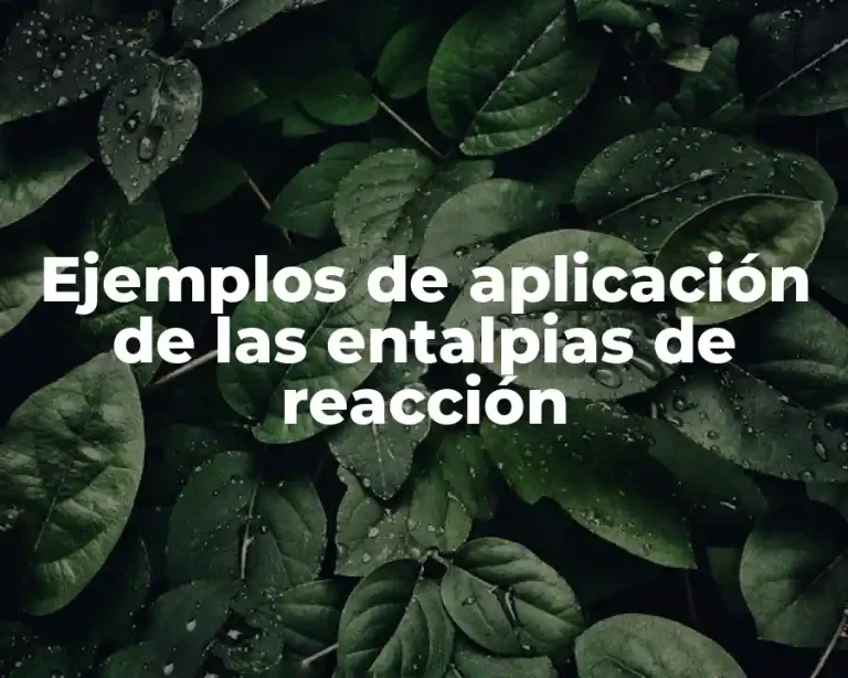 Ejemplos de aplicación de las entalpias de reacción