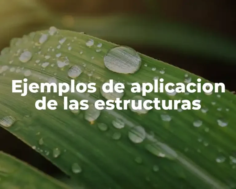 Ejemplos de aplicacion de las estructuras