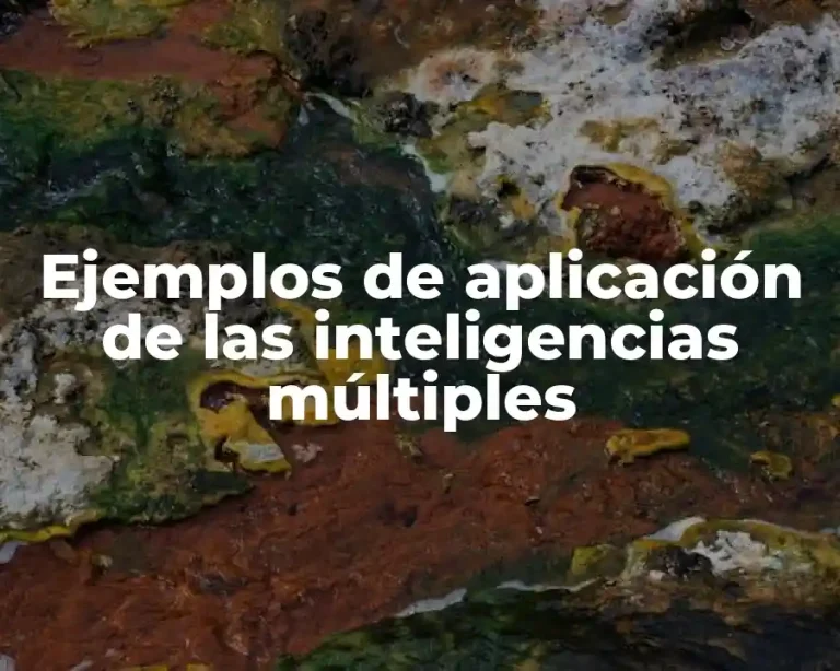 Ejemplos de aplicación de las inteligencias múltiples