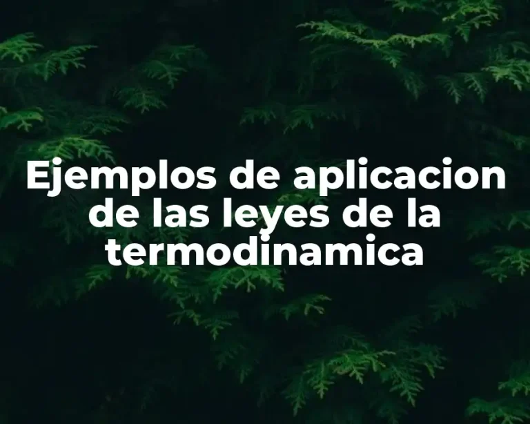 Ejemplos de aplicacion de las leyes de la termodinamica