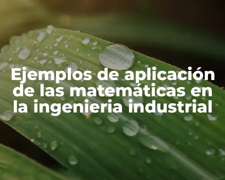Ejemplos de aplicación de las matemáticas en la ingenieria industrial