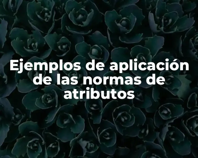 Ejemplos de aplicación de las normas de atributos