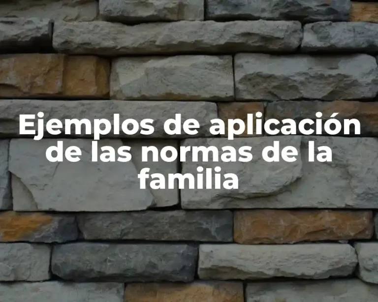 Ejemplos de aplicación de las normas de la familia