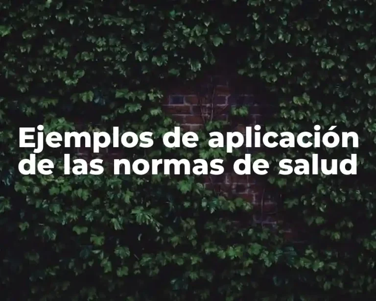 Ejemplos de aplicación de las normas de salud