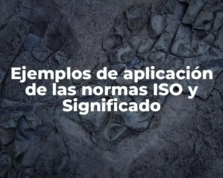 Ejemplos de aplicación de las normas ISO y Significado