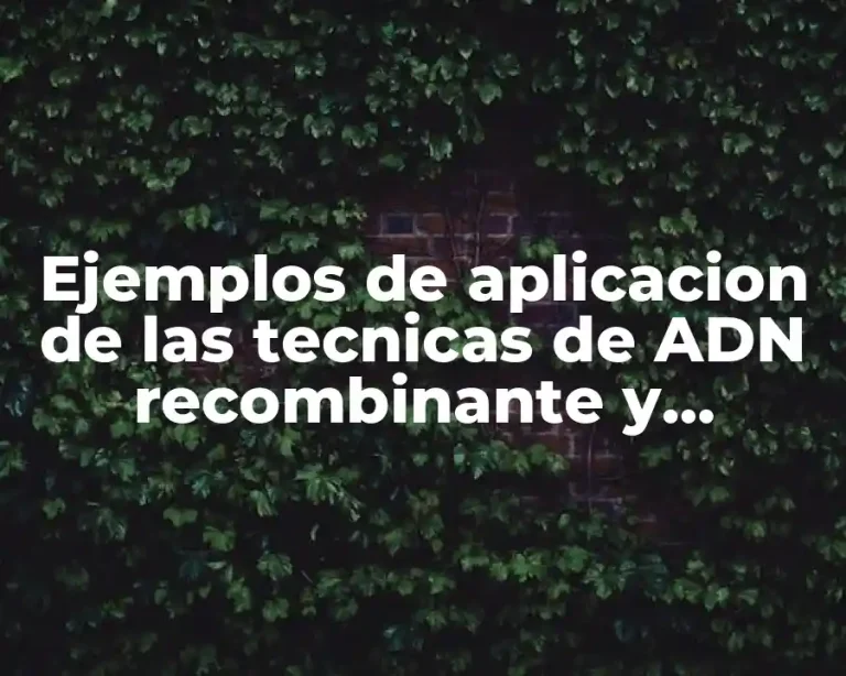 Ejemplos de aplicacion de las tecnicas de ADN recombinante y Significado