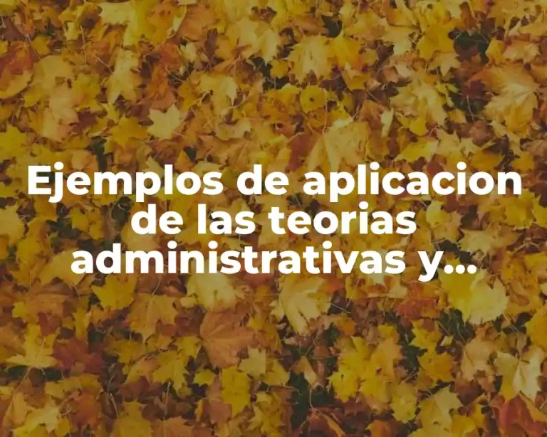 Ejemplos de aplicacion de las teorias administrativas y Significado