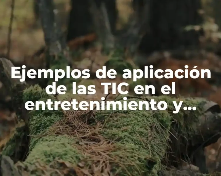 Ejemplos de aplicación de las TIC en el entretenimiento y Significado