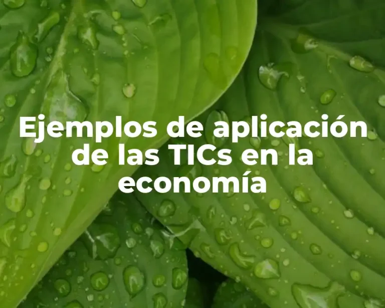 Ejemplos de aplicación de las TICs en la economía