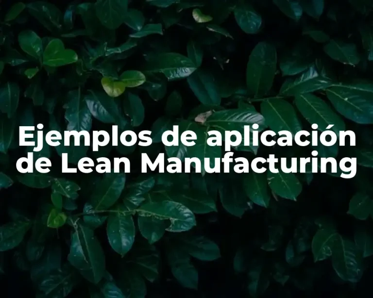 Ejemplos de aplicación de Lean Manufacturing