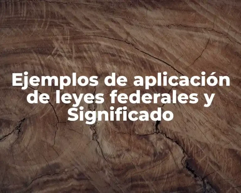 Ejemplos de aplicación de leyes federales y Significado