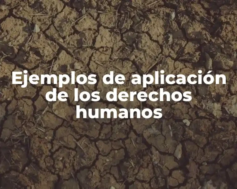 Ejemplos de aplicación de los derechos humanos
