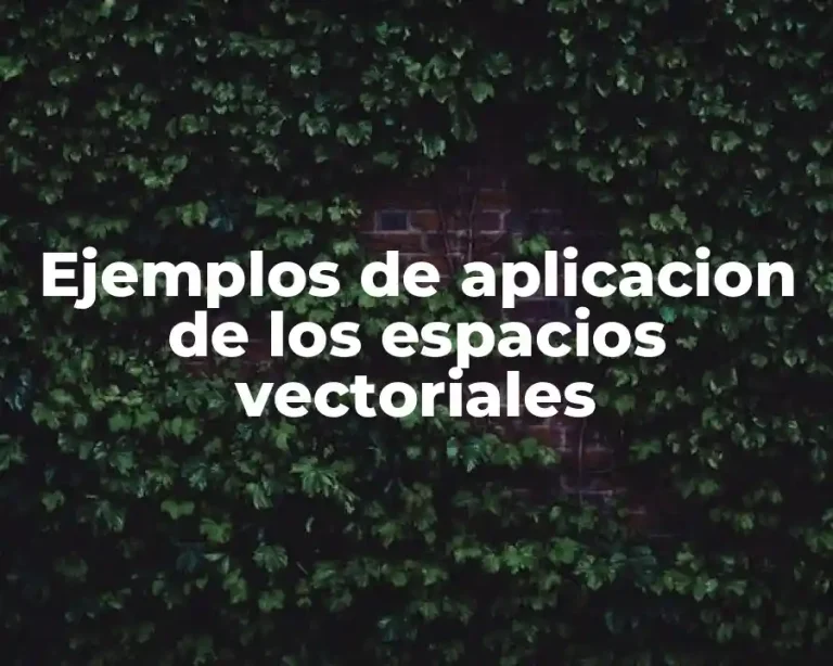 Ejemplos de aplicacion de los espacios vectoriales