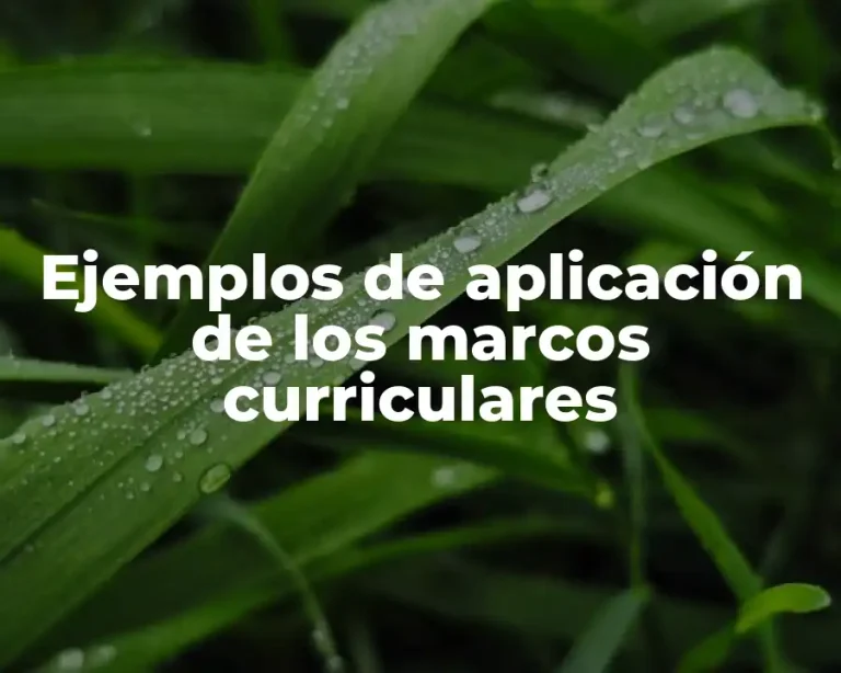 Ejemplos de aplicación de los marcos curriculares