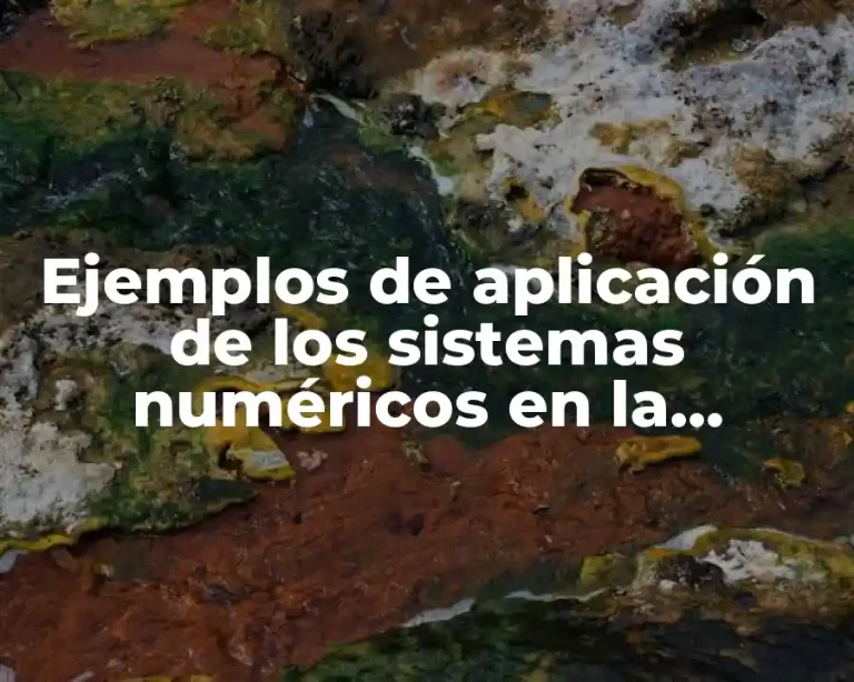 Ejemplos de aplicación de los sistemas numéricos en la computación