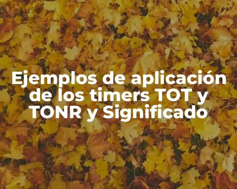Ejemplos de aplicación de los timers TOT y TONR y Significado