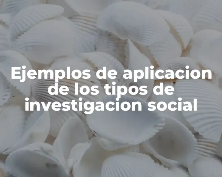 Ejemplos de aplicacion de los tipos de investigacion social