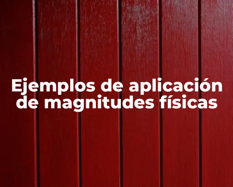 Ejemplos de aplicación de magnitudes físicas