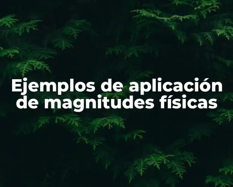 Ejemplos de aplicación de magnitudes físicas