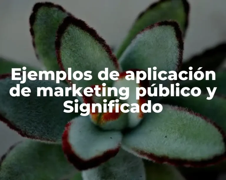 Ejemplos de aplicación de marketing público y Significado