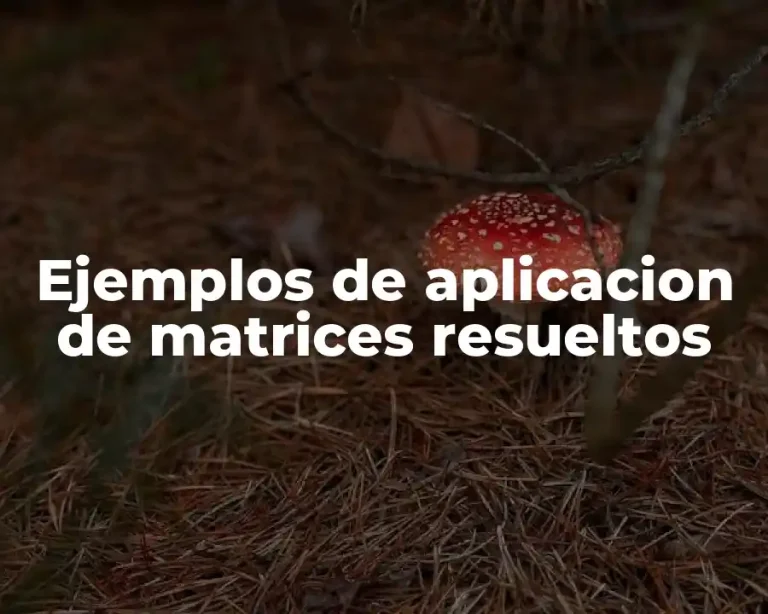 Ejemplos de aplicacion de matrices resueltos