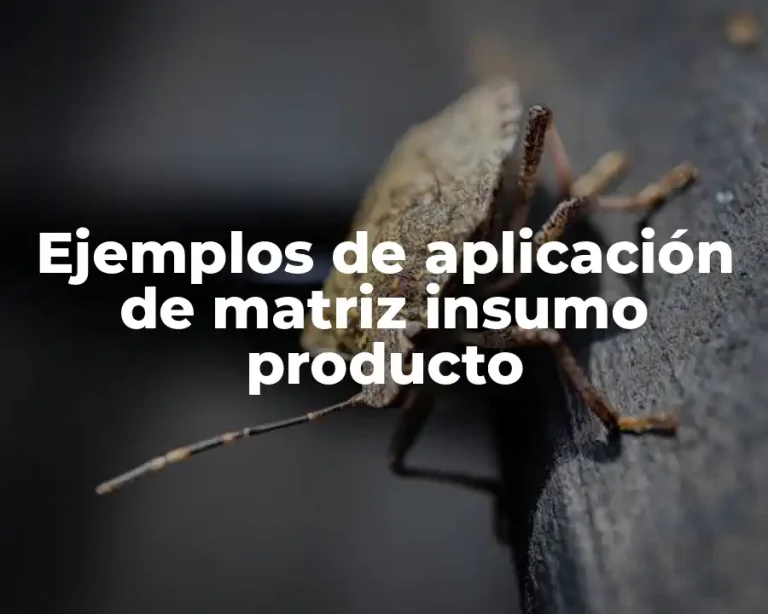 Ejemplos de aplicación de matriz insumo producto