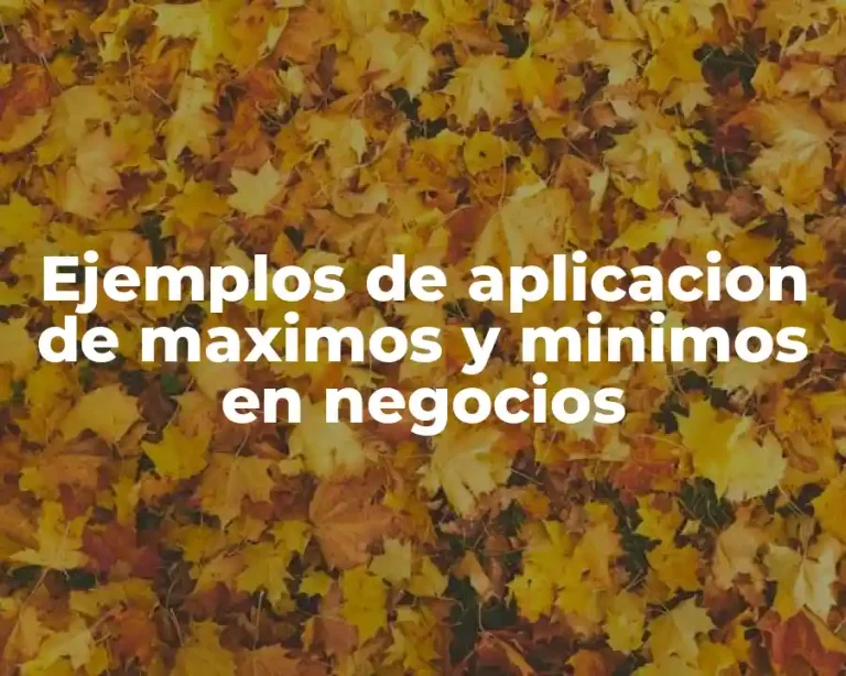 Ejemplos de aplicacion de maximos y minimos en negocios
