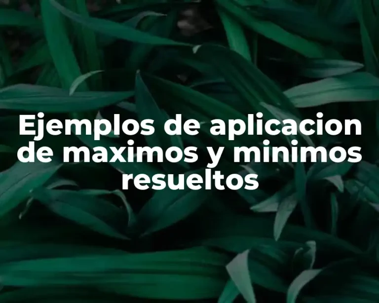 Ejemplos de aplicacion de maximos y minimos resueltos