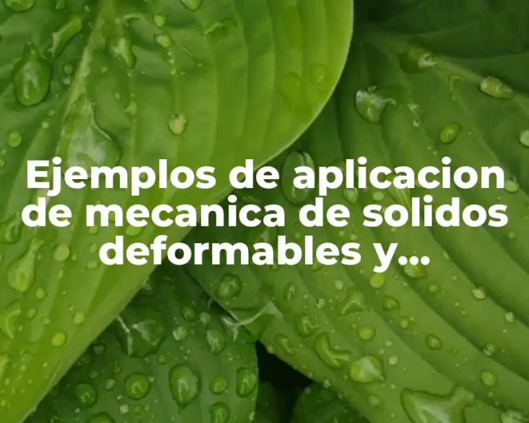 Ejemplos de aplicacion de mecanica de solidos deformables y Significado
