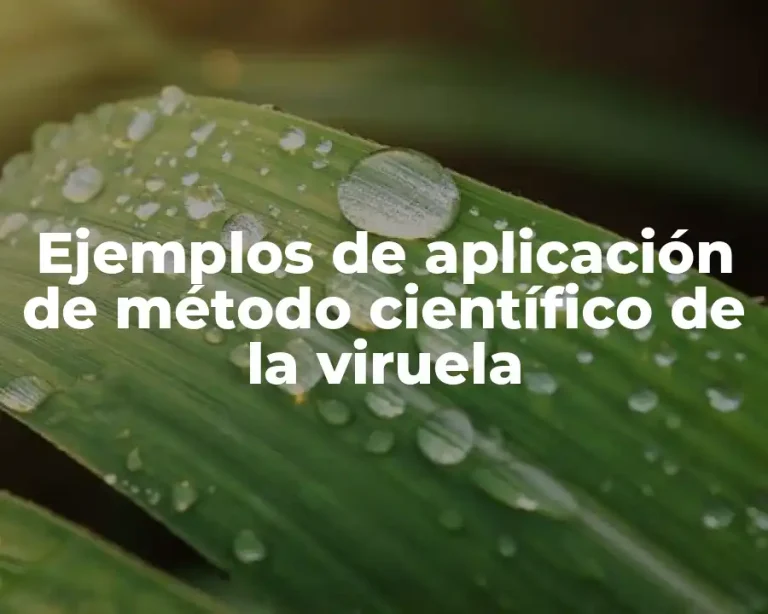 Ejemplos de aplicación de método científico de la viruela