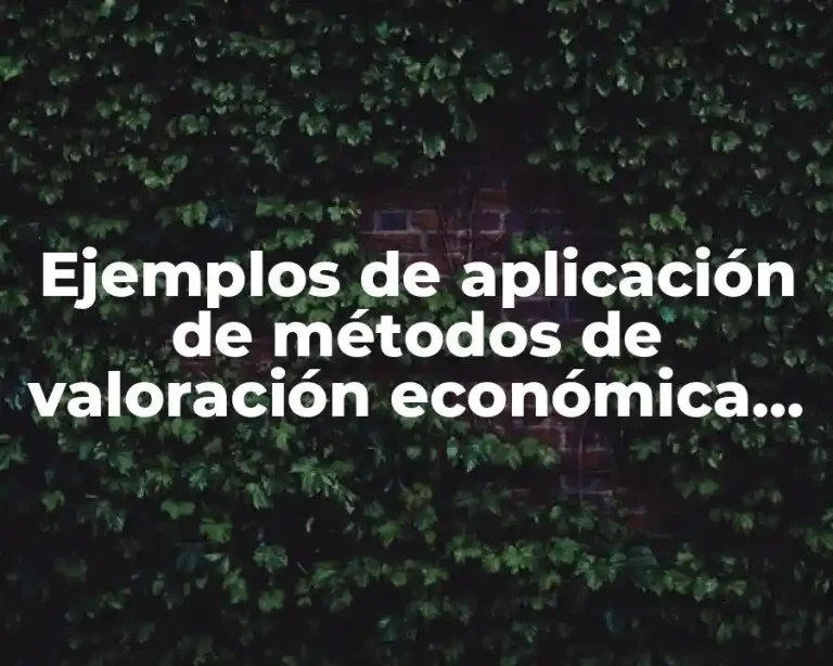 Ejemplos de aplicación de métodos de valoración económica del ambiente