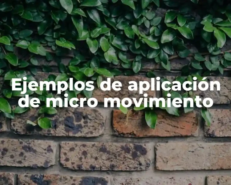 Ejemplos de aplicación de micro movimiento