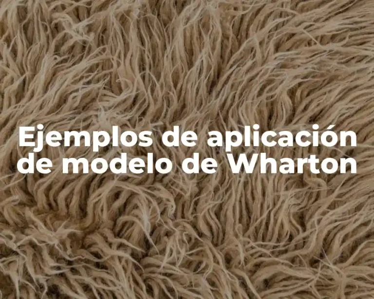 Ejemplos de aplicación de modelo de Wharton