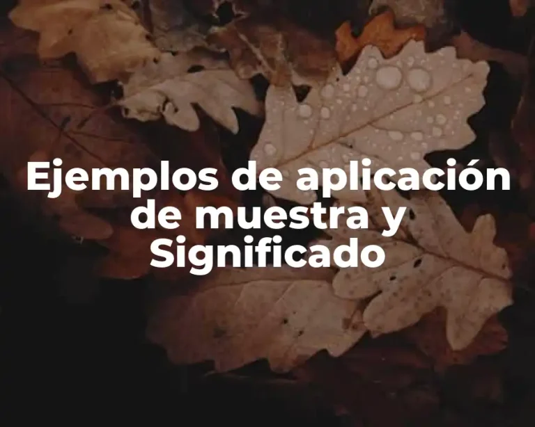 Ejemplos de aplicación de muestra y Significado