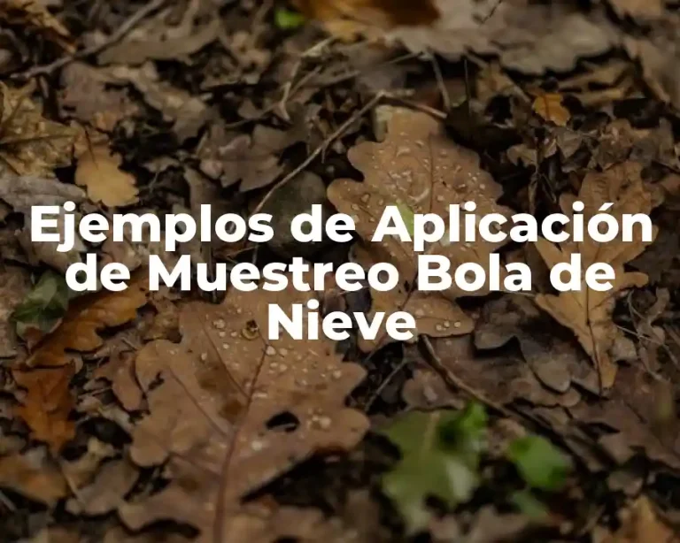 Ejemplos de Aplicación de Muestreo Bola de Nieve