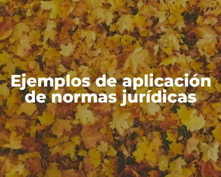 Ejemplos de aplicación de normas jurídicas