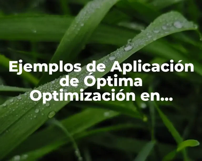 Ejemplos de Aplicación de Óptima Optimización en Cálculo Diferencial