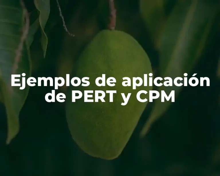 Ejemplos de aplicación de PERT y CPM