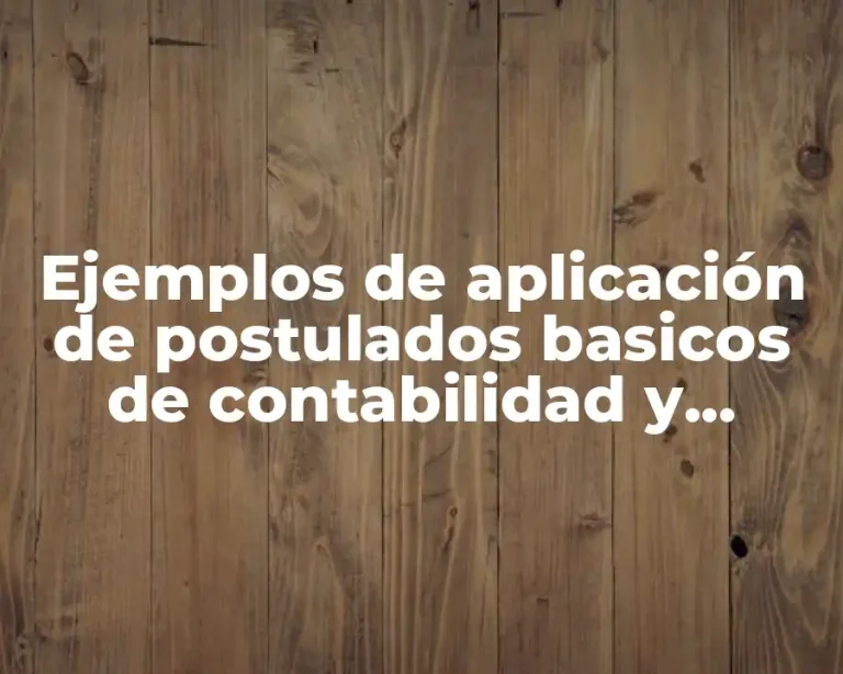 Ejemplos de aplicación de postulados basicos de contabilidad y Significado