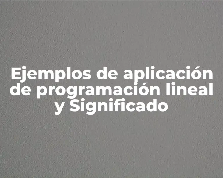 Ejemplos de aplicación de programación lineal y Significado