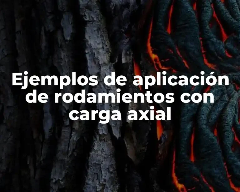 Ejemplos de aplicación de rodamientos con carga axial