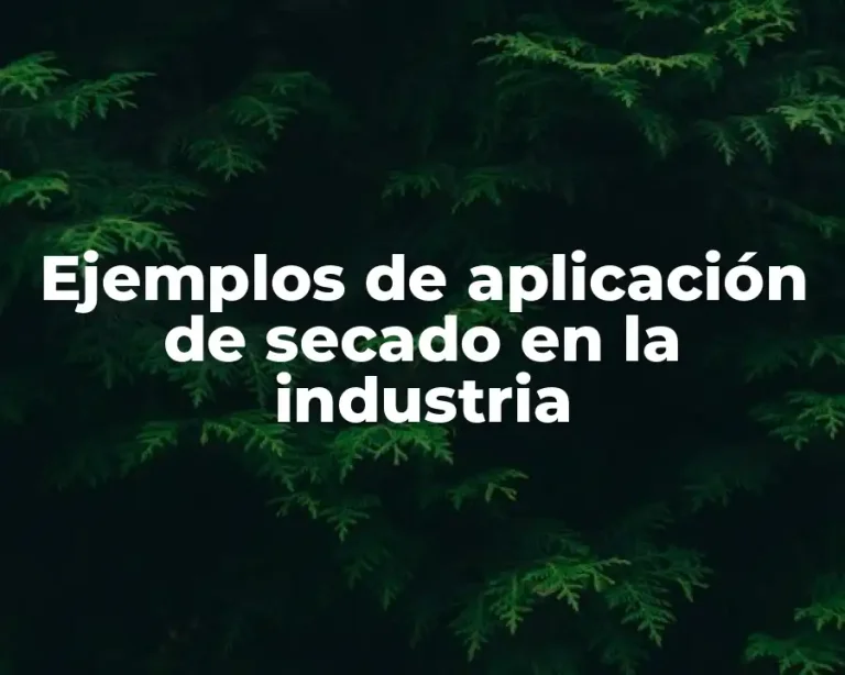 Ejemplos de aplicación de secado en la industria