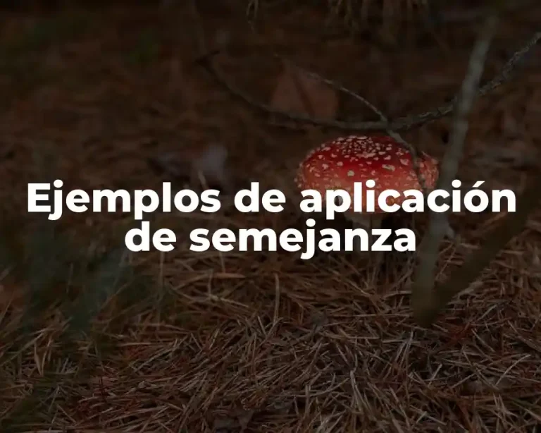 Ejemplos de aplicación de semejanza