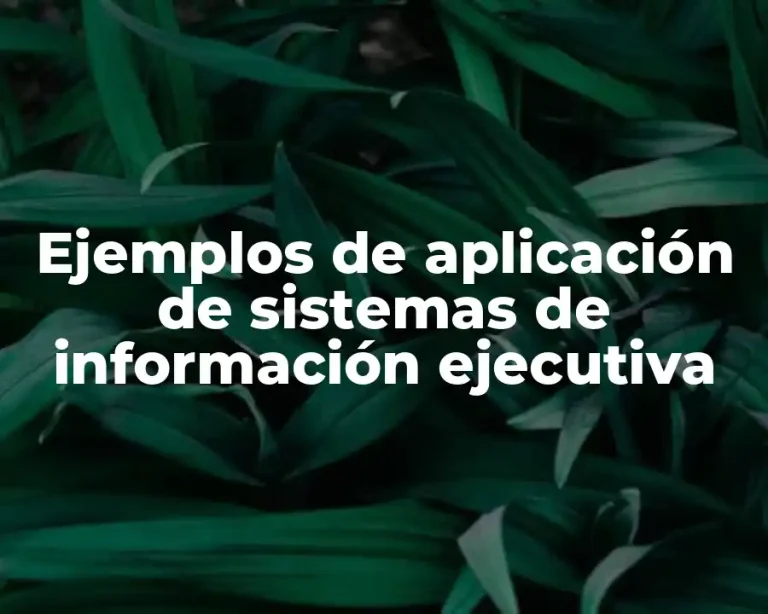 Ejemplos de aplicación de sistemas de información ejecutiva