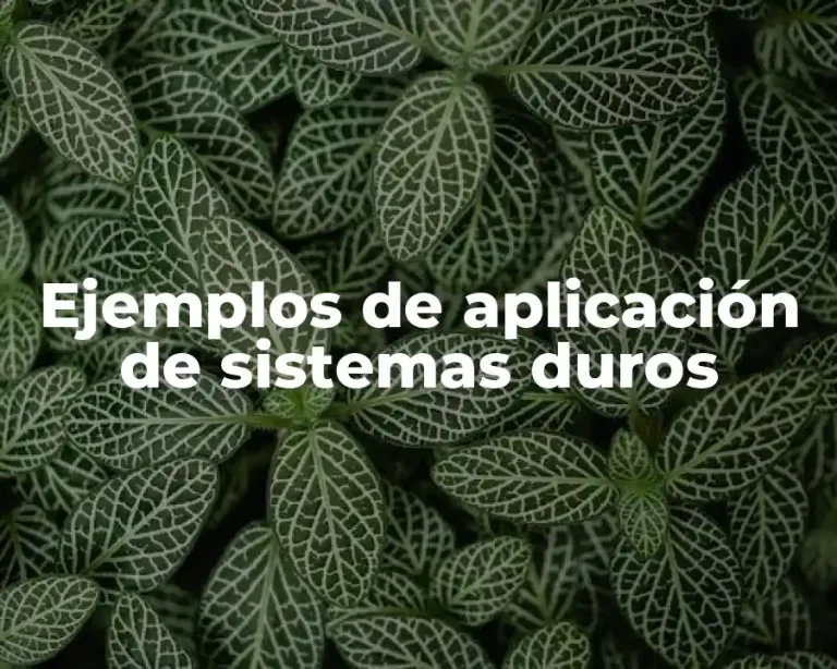 Ejemplos de aplicación de sistemas duros