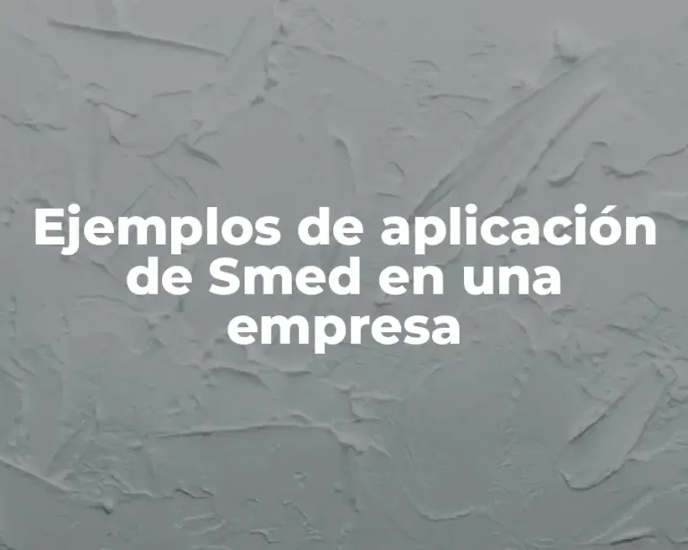 Ejemplos de aplicación de Smed en una empresa