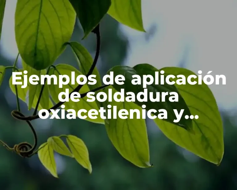 Ejemplos de aplicación de soldadura oxiacetilenica y Significado