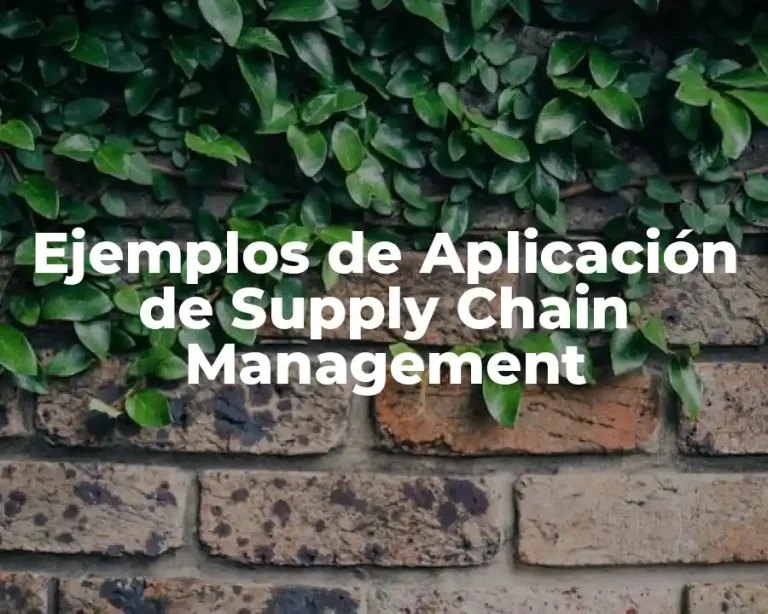 Ejemplos de Aplicación de Supply Chain Management