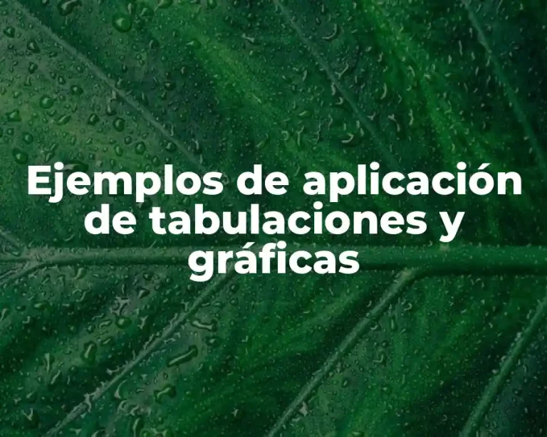 Ejemplos de aplicación de tabulaciones y gráficas